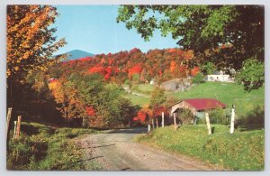 Bridge~Covered Bridge In Autumn @ Montgomery Vermont~Vintage Postcard