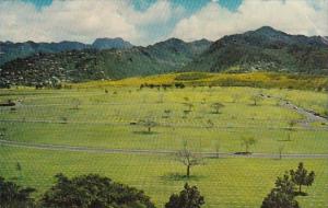 Hawaii Honolulu Punchbowl Crater 1962