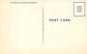 Rooster Comic View Postcard Backing 