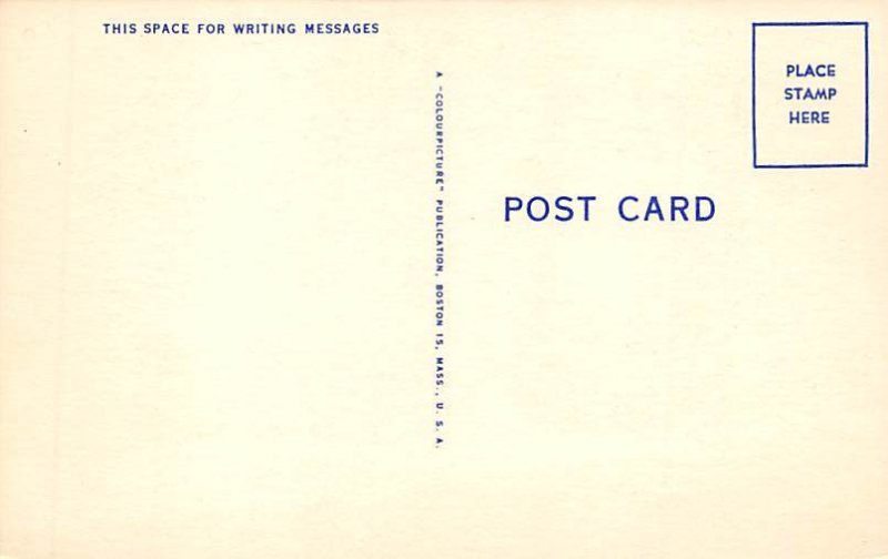 Rooster Comic View Postcard Backing 