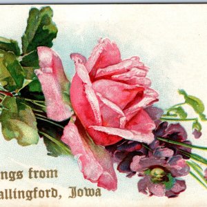 1909 Wallingford, IA Greetings Lovely Rose Embossed Gilt Print Postcard A169