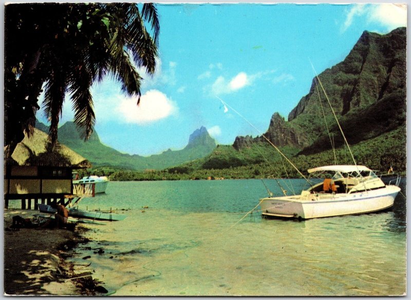 Tahiti - Moorea View On Bay Of Pao Pao Mountain Palm Postcard