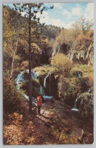 State View~Air View Roughlock Falls In Spearfish Canyon~Vintage Postcard