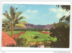 Penang Valley, Fiji, 1940-1960s