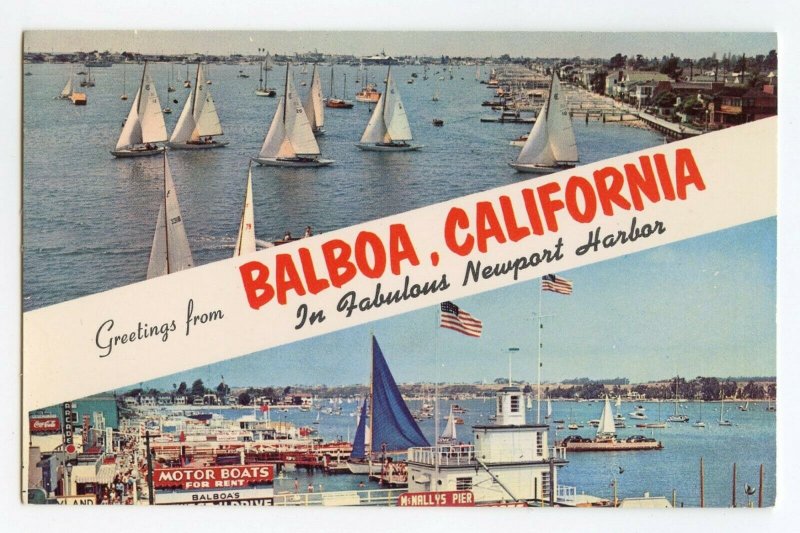 Postcard Greetings From Balboa California Newport Harbor Standard View Card 