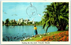 M-29788 Feeding the Sea Gulls Orlando Florida