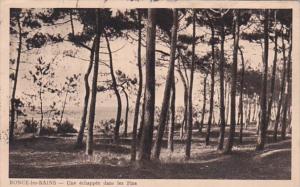 Belgium Ronce-les-Bains Une Echappee dans les Pins 1910