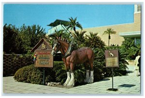 Budweiser Michelob Busch Bavarian Busch Gardens Horse Tampa Florida FL Postcard