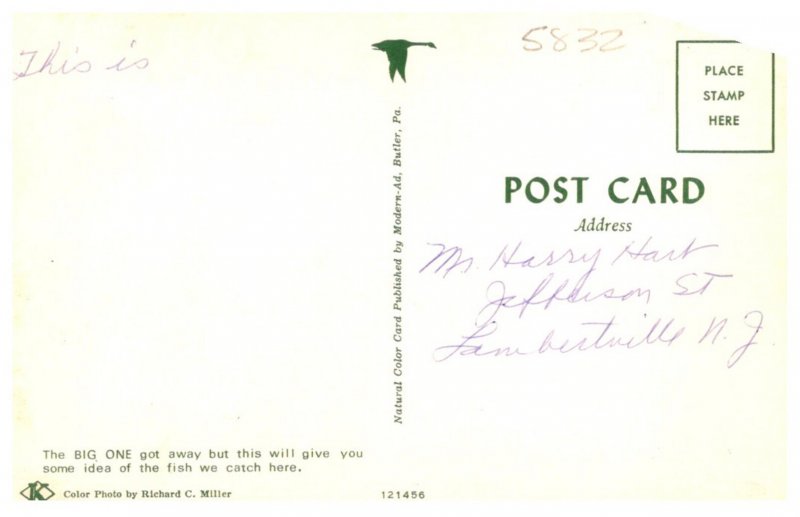 Nothern Pike Exaggeration