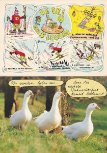French Skiing Swans Birds 2x Comic Postcard s