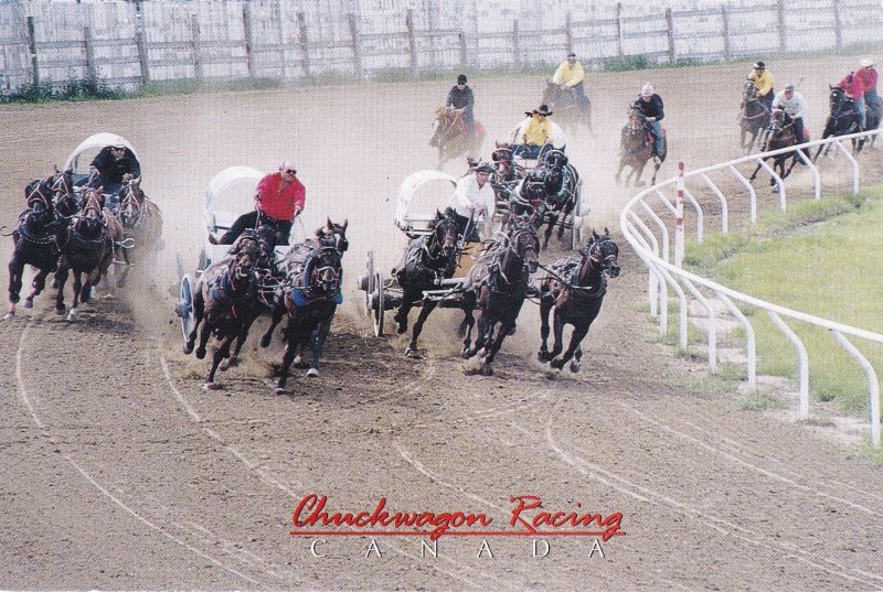 CANADA, 50-70s; Canadian Professional Chuckwagon racing