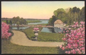 Middleton Place Gardens Charleston South Carolina Unused c1910s