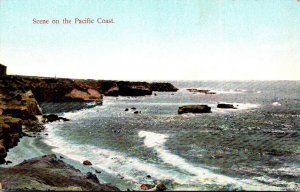 California Scene On The Pacific Coast