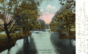 Vintage Postcard 1911 Scene in Park Ann Arbor Michigan MI