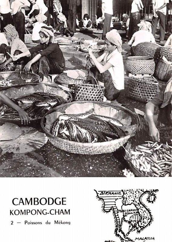 Poissons du Mekong Kompong Cham Cambodia, Cambodge Unused 