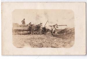 RPPC, Horse Drawn Farm Wagon