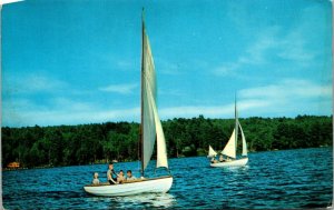 Springville New York Sail Boats Postcard