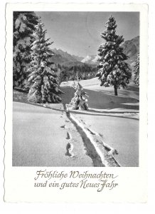 RPPC Germany Frohliche Weinachten Christmas Path in Snowy Mountain 4X6 Postcard