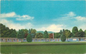 1960 California St. Helena El Bonita Motel National roadside Postcard 22-11485