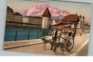 Luzern Switzerland Dogs Pull Cart c1910 Postcard