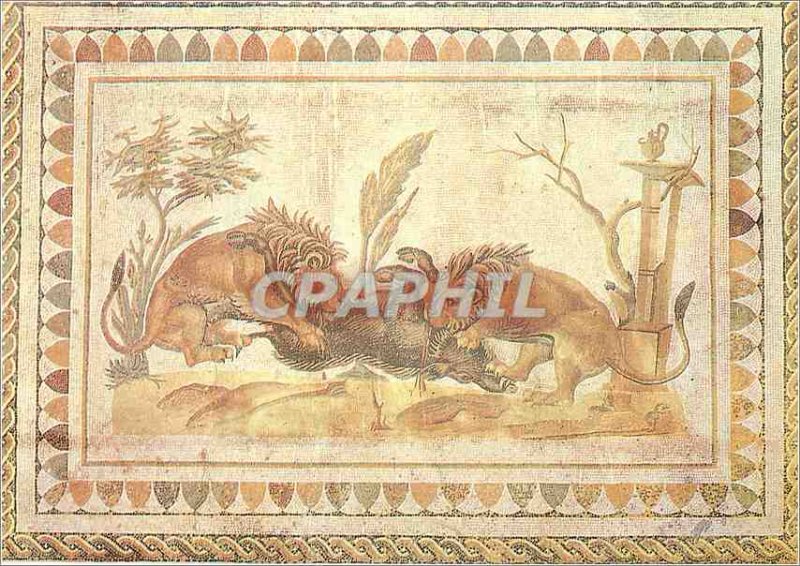 Postcard Modern Museum of El Jem Lions Devouring a Boar Carthage Paris Exhibi...