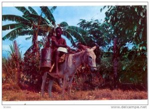 Water boy, Jamaica, 40-60s