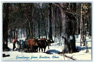 Greetings From Burton Ohio OH, Winter Snow Trees Scene Vintage Unposted Postcard