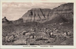 Petrified Forest Holbrook Arizona Vintage Postcard C215