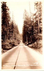 Washington Pacific Highway Through The Tall Firs Real Photo