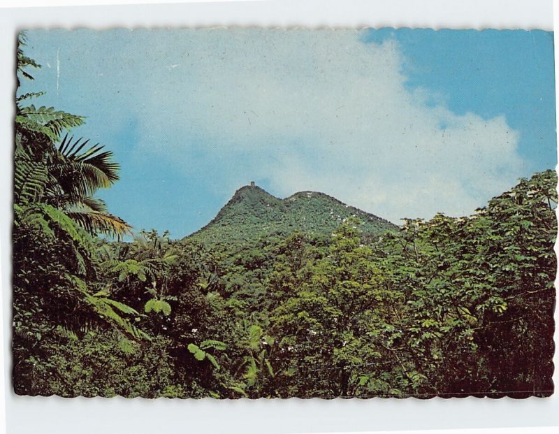 Postcard Picacho Mountain & Tower at El Yunque Rain Forest, Puerto Rico