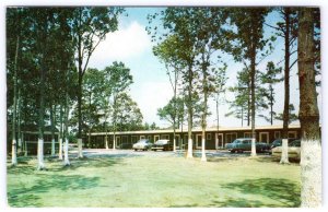 1950's OCEAN CITY MD MARYLAND BIRD NEST MOTEL RT 50 AT HERRING CREEK POSTCARD