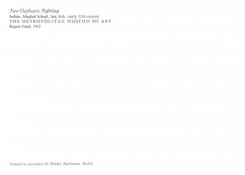 Two Elephants Fighting - Indian