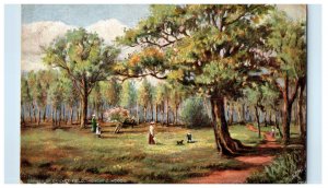 1905 Corner of Cricket Field Highgate Woods Oilette Tuck Art Postcard 