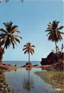 BR26015 Africa Paysage de cocotiers Africa