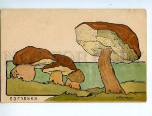 249282 RUSSIA KRUGLIKOVA boletus mushrooms Vintage St. Eugenie