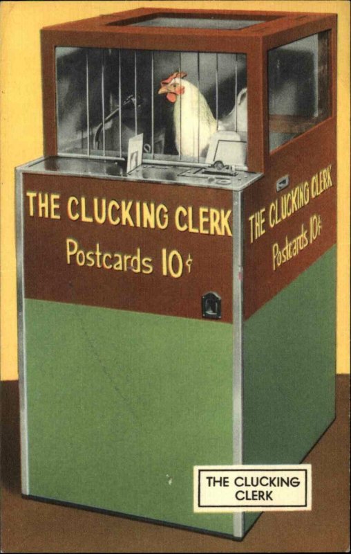 Clucking Clerk Postcard Selling Chicken Deltiology Linen Postcard Hot Springs AR