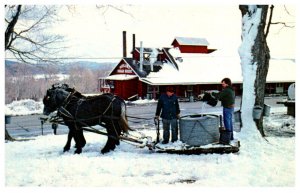 Vermont Putney Harlows Sugar House
