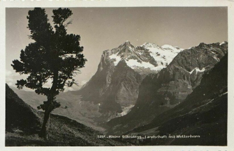 Switzerland Postcard - Kleine Scheidegg - Landschaft Mit Wetterhorn - Ref TZ7495