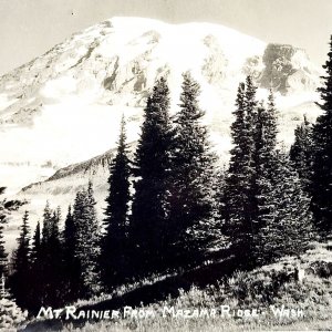 RPPC Mount Rainier From Mazama Ridge Ellis 1920s Washington Pacific NW PCBG6C