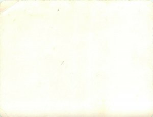 Mickey Mouse Curios Mexico Border RPPC Postcard