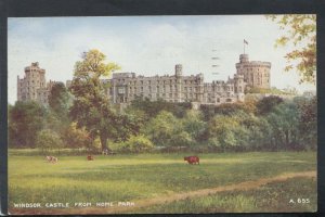Berkshire Postcard - Windsor Castle From Home Park  RS20488