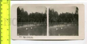 424952 Latvia Liepaja LIBAU swan lake Vintage STEREO PHOTO