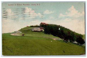 1912 Summit Walnut Mountain Horse Liberty New York NY Vintage Antique Postcard