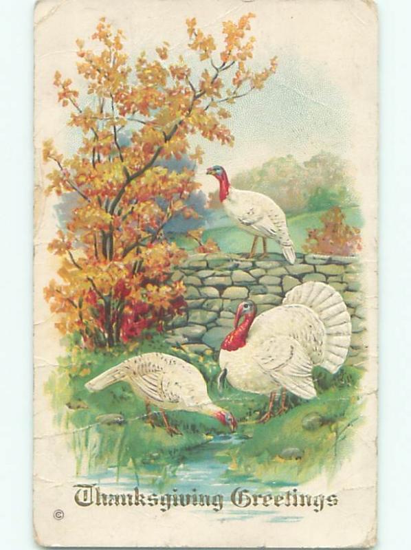 Divided-Back THANKSGIVING SCENE Great Postcard AA0629