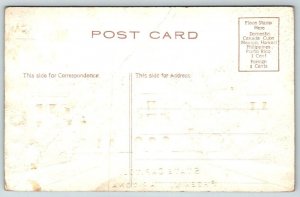 Phoenix  Arizona  State Capitol Building  Embossed  Postcard  c1915