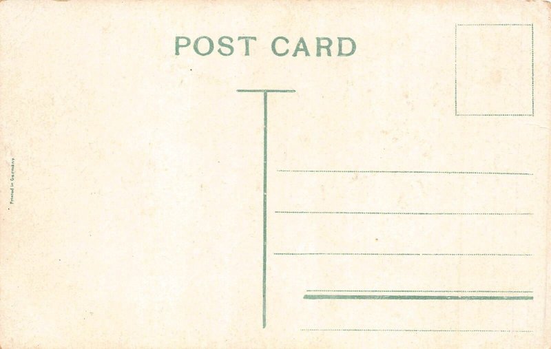 Comic Humor Mother Holds Babies Screaming The Heavenly Twins  vintage postcard