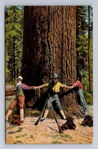LOGGING HUNTERS GUN ALASKA YUKON PACIFIC AYP EXPO POSTCARD (1909)