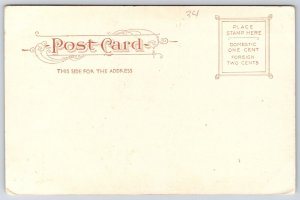 Boardwalk & Steeplechase Pier Atlantic City New Jersey Amusement Park Postcard