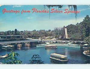 Pre-1980 SILVER SPRINGS SCENE Ocala Florida FL AF9844