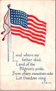 American Flag The Land Where My Father Died 1917